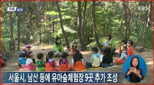 서울시, 남산 등에 유아숲체험장 9곳 추가 조성