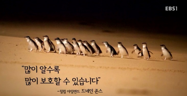 <뉴스G> 꼬마 펭귄을 위한 스웨터