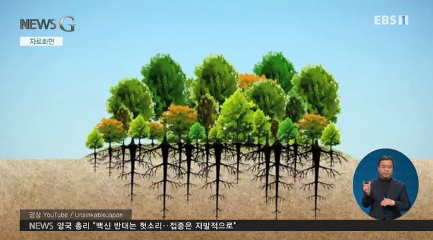 도시를 변화시키는 작은 숲
