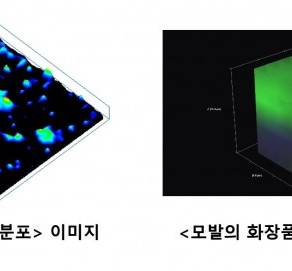 피엔케이피부임상연구센타, ‘라만분광법’ 화장품 흡수도 평가 기술 선도