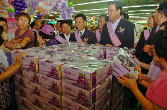 옥천 우수농산물 판촉행사