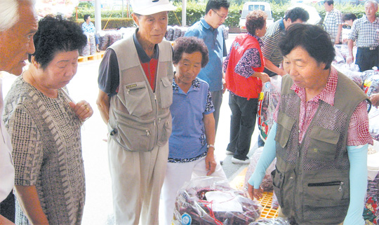 음성청결고추 직거래장터 개장