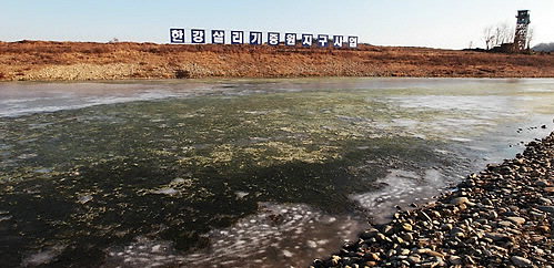 충주 중원지구 때아닌 녹조 몸살