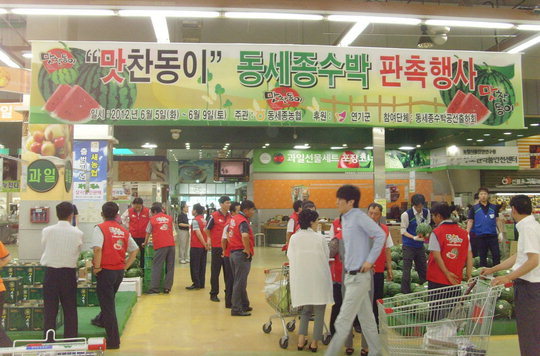 맛찬동이 수박 국민 입맛 유혹