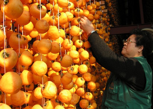 올 영동곶감 맛보기 쉽지 않겠네