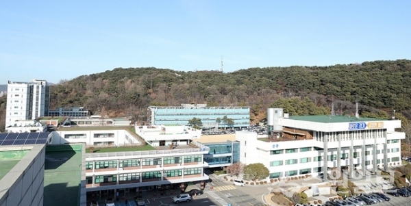 도내 시.군 전역, 18일~22일 야생멧돼지 집중포획 실시