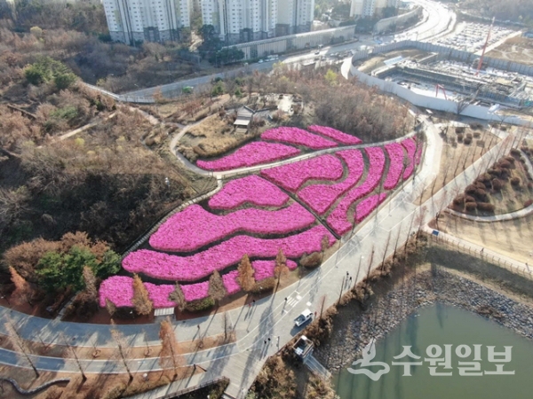 내달 광교호수공원서 철쭉동산 만난다