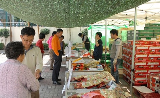 추석 과일, 농협 직거래장터서 싸게 사세요