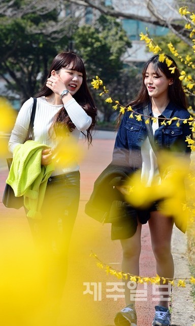 봄기운 완연한 캠퍼스