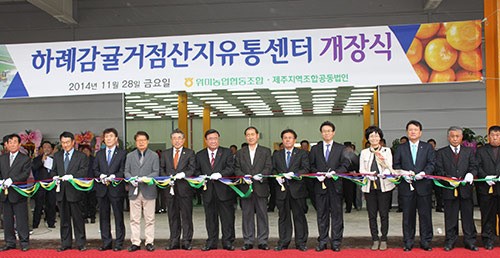 하례 감귤거점산지유통센터 본격 가동