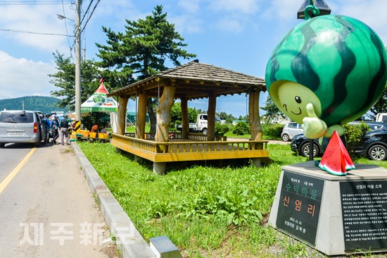 수박 직거래 장터 개장/제주시 애월읍