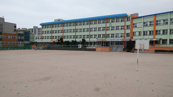 56년 전통 제주남초 야구부 존폐 위기