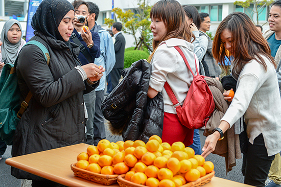 청정 제주의 맛, 농·수·축산물 향연 펼쳐진다