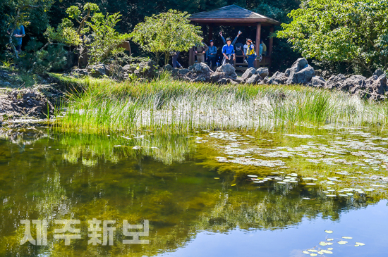 동백동산 가을산책