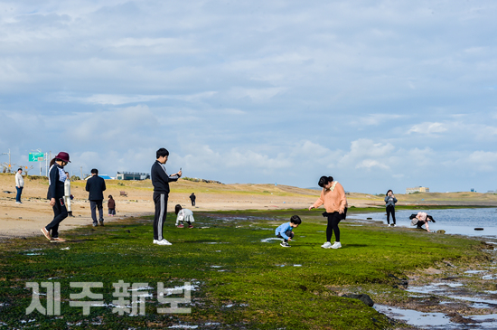 초록 이끼에는 뭐가 있을까?