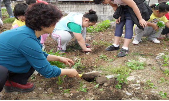 문혜초등학교 야생화 식재