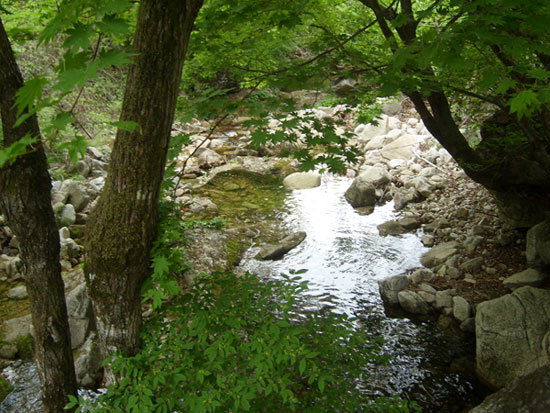 [강원의 명산] 107. 화천 두류산