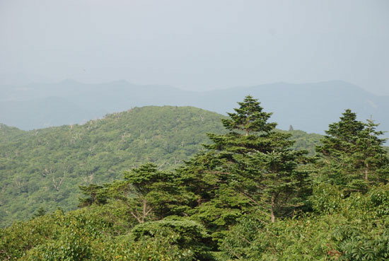 [강원의 명산] 109. 정선 함백산