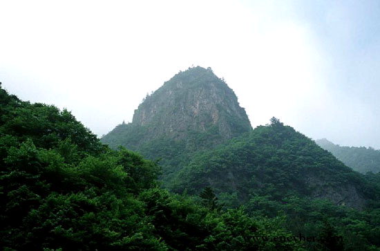 [강원의 명산] 110. 태백 덕항산