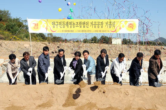 양구 민들레 가공공장 착공 지역 명품화 본격화