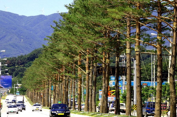 곧은 절개 보여도 일상 곳곳 아낌없는 흔적