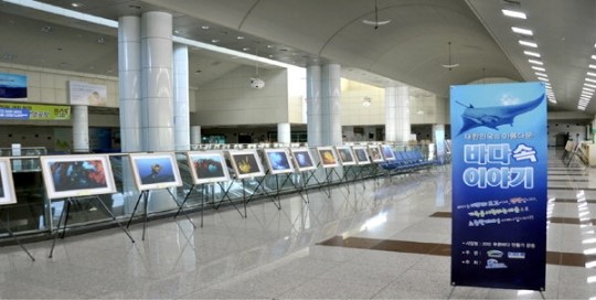 공항공사 양양지사 해양환경수중사진전
