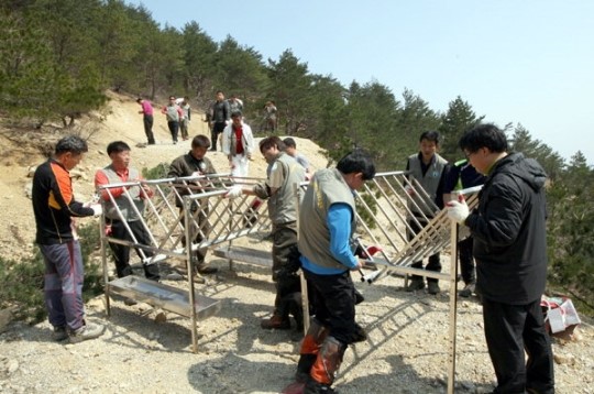 [고성]고성 산양 먹이주기