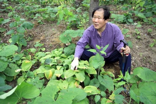 [Story &...] 동탑산업훈장 독림가  김철동 씨