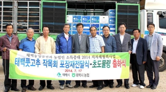 [태백]태백 풋고추 초도물량 출하식
