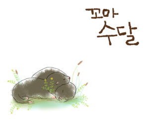 화천 청소년 제작 꼬마 수달 영화상 수상