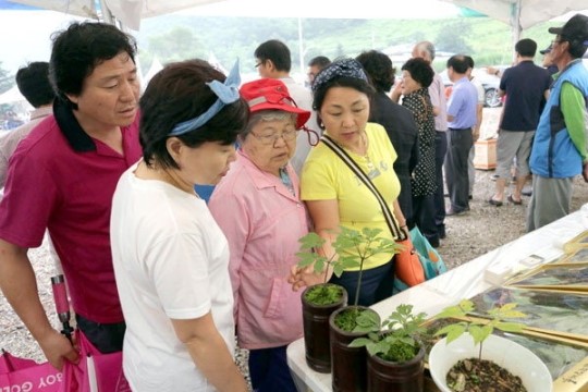 [삼척]삼척 농특산물 구경하세요