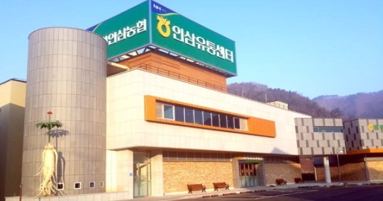 [홍천]인삼 수매·가공·유통 일원화