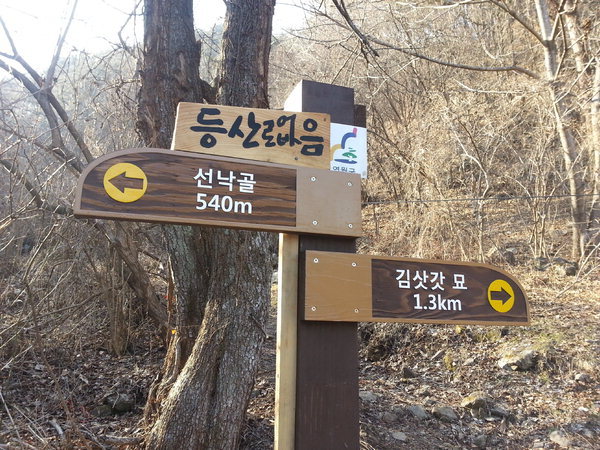 [영월]마대산 선낙골 등산로 누가막았나
