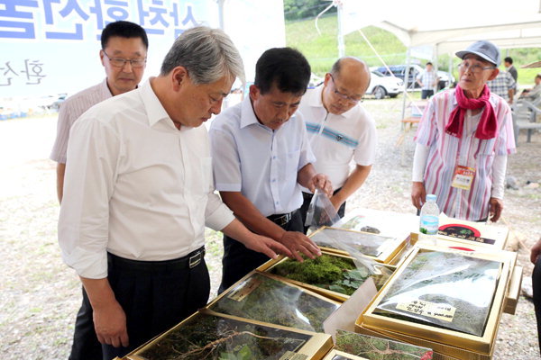 삼척시 신기면 농특산물 홍보축제