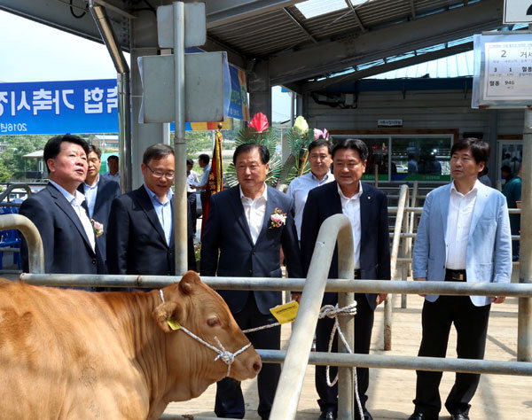 [홍천]홍천한우 전자경매 시대