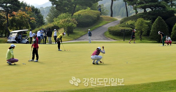 국내·해외투어 스타 플레이어 3일간 열전