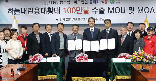 [인제]인제 명품황태 미국 수출길 활짝