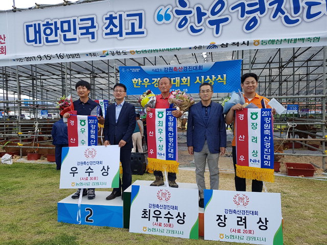 횡성·정선·인제서 도내 최고 우량 암소 나왔다