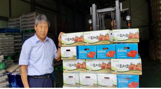 [인제]인제농협 토마토 팔아주기 캠페인