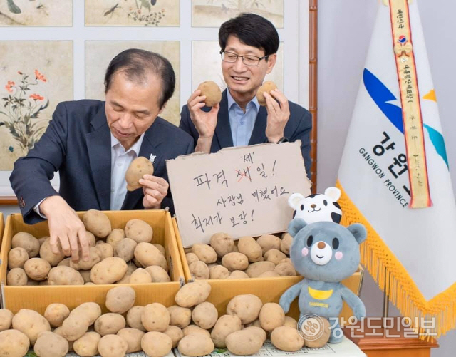 여러분,감자합니다!핵세일 강원도 꿀감자 연일 완판 기록 고공행진