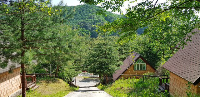 봄볕 아래 맑은 숨 쉬는 숲과 나만의 시간