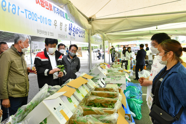 [정선]정선군, 산나물 4종 세트 온·오프라인 특판행사