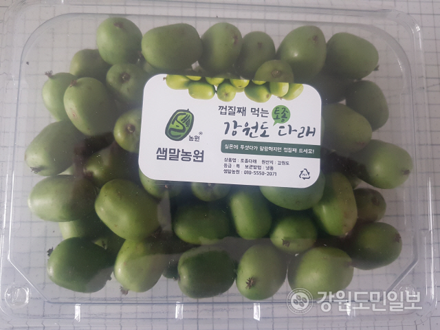 강원 토종다래 새벽배송 도전