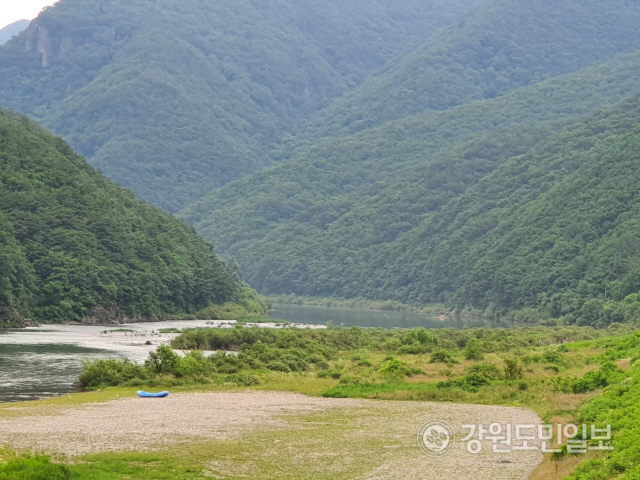[영월]코로나19 직격탄…영월 동강 래프팅 침몰