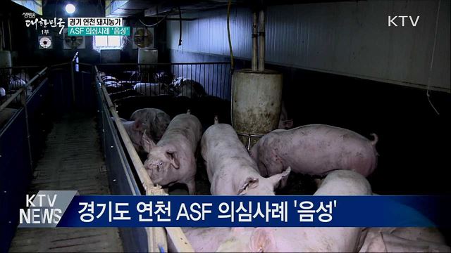 경기 연천 ASF 의심사례 음성 판정