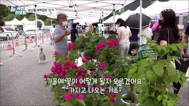 일산 호수공원 주말 농산물 새벽장터 인기