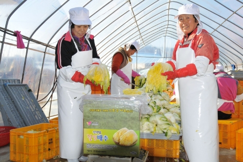친정맘 절임배추로 김장부담 줄이세요