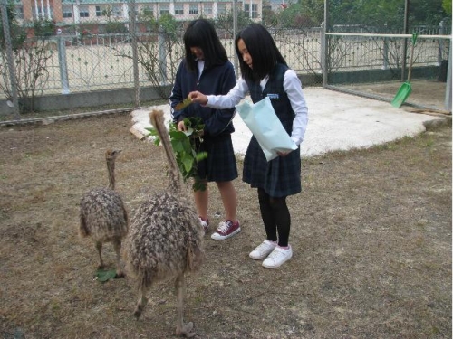 각종 체험학습으로 올바른 인성 함양