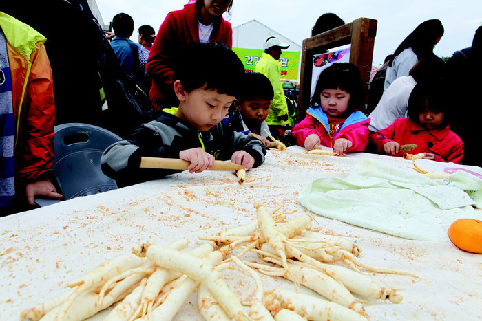 인삼축제, 가족민속형 축제로