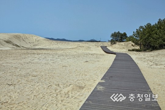 태안 신두리 해안사구, 관광 명소로 각광